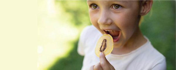 dried gold kiwi fruit snacks