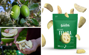 nz grown dried feijoa fruit