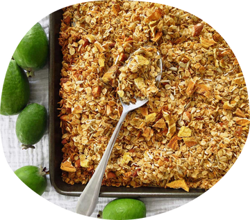 Dried Feijoa and coconut Granola