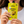 Gold Kiwifruit Juice 100% Natural - 100ml x 10 Juice