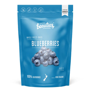 preservative free dried blueberries